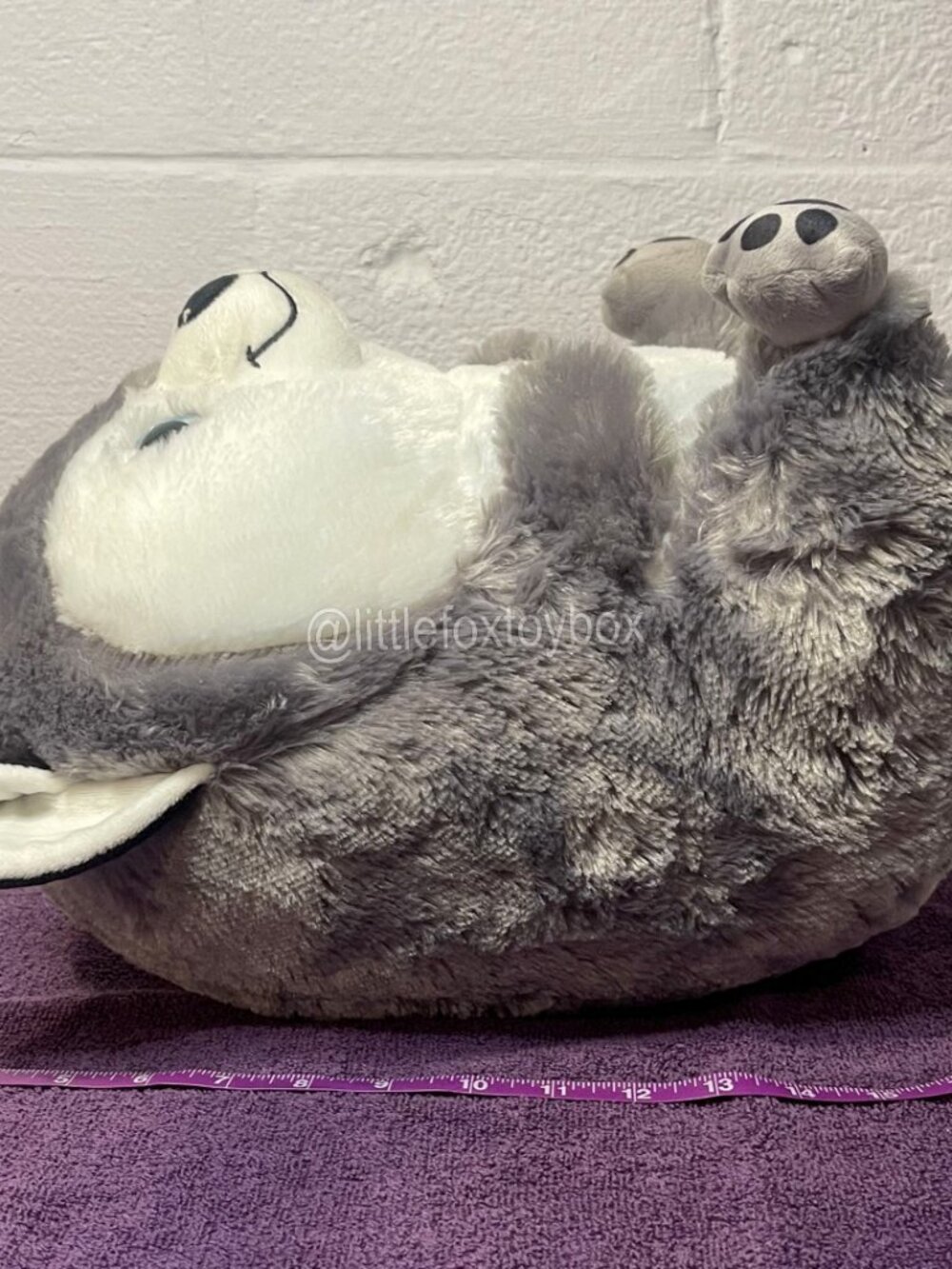 Nanco Belly Buddies Husky Plush PF-BHU50 Gray White Dog Sparkle Eyes ESSA Toy - Picture 7 of 13